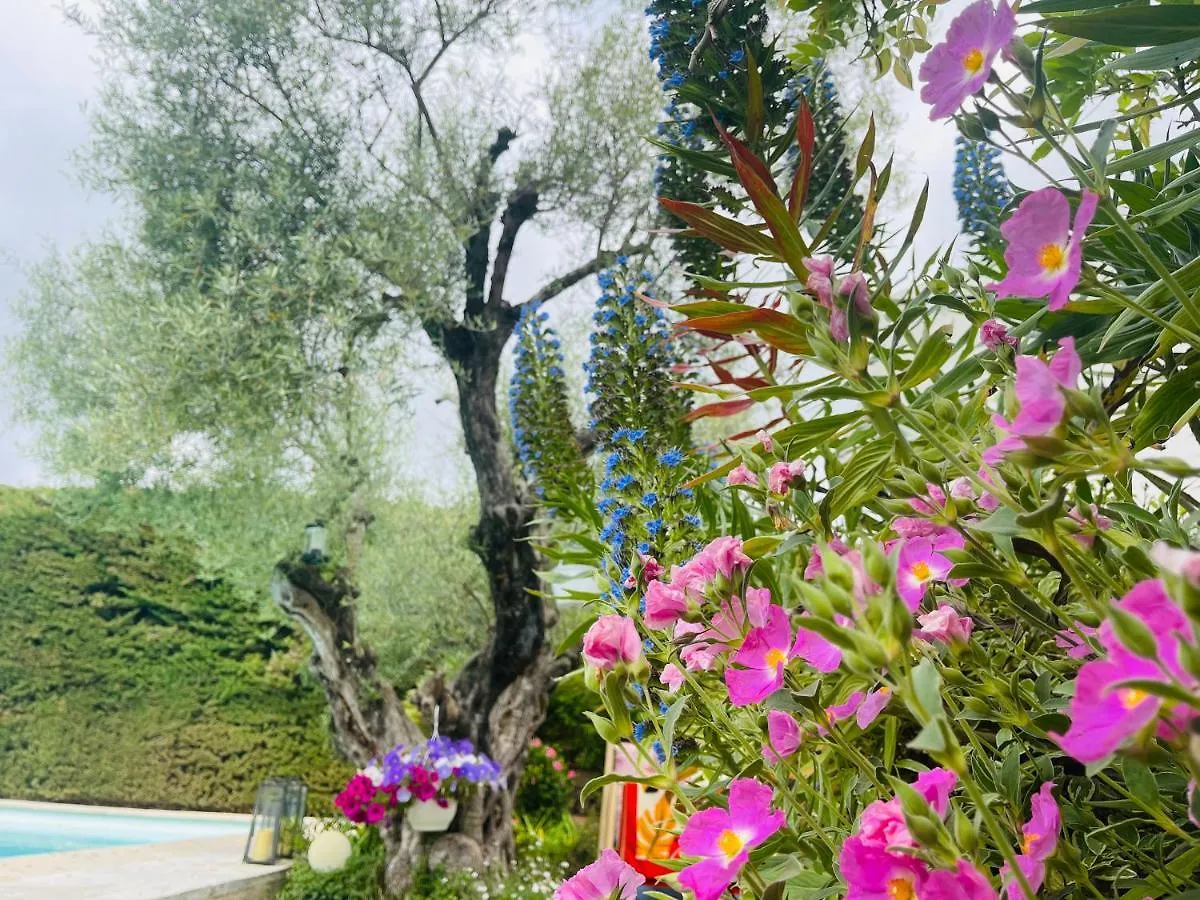 Abeille Bed & Breakfast Vence