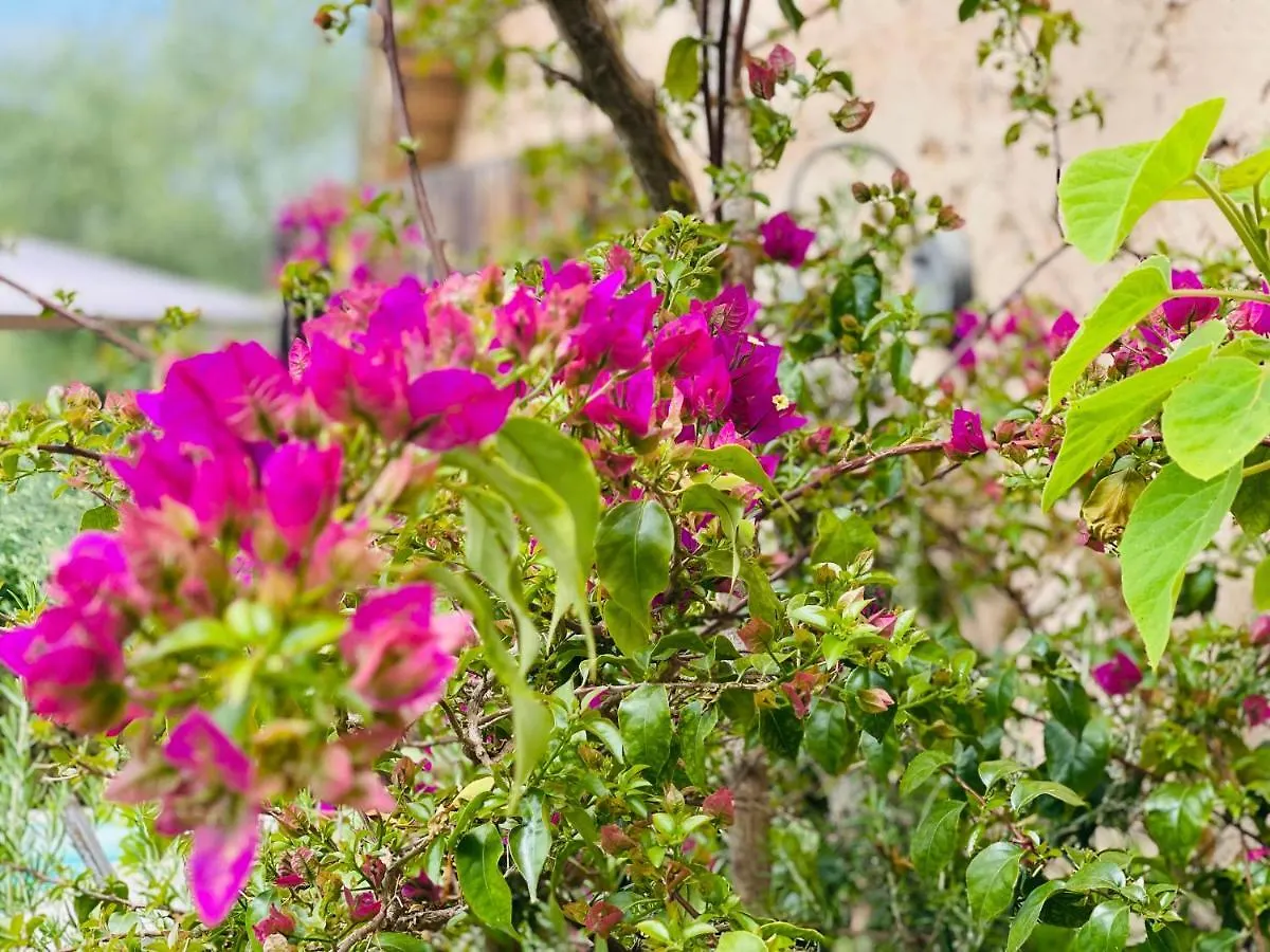 Abeille Bed & Breakfast Vence France
